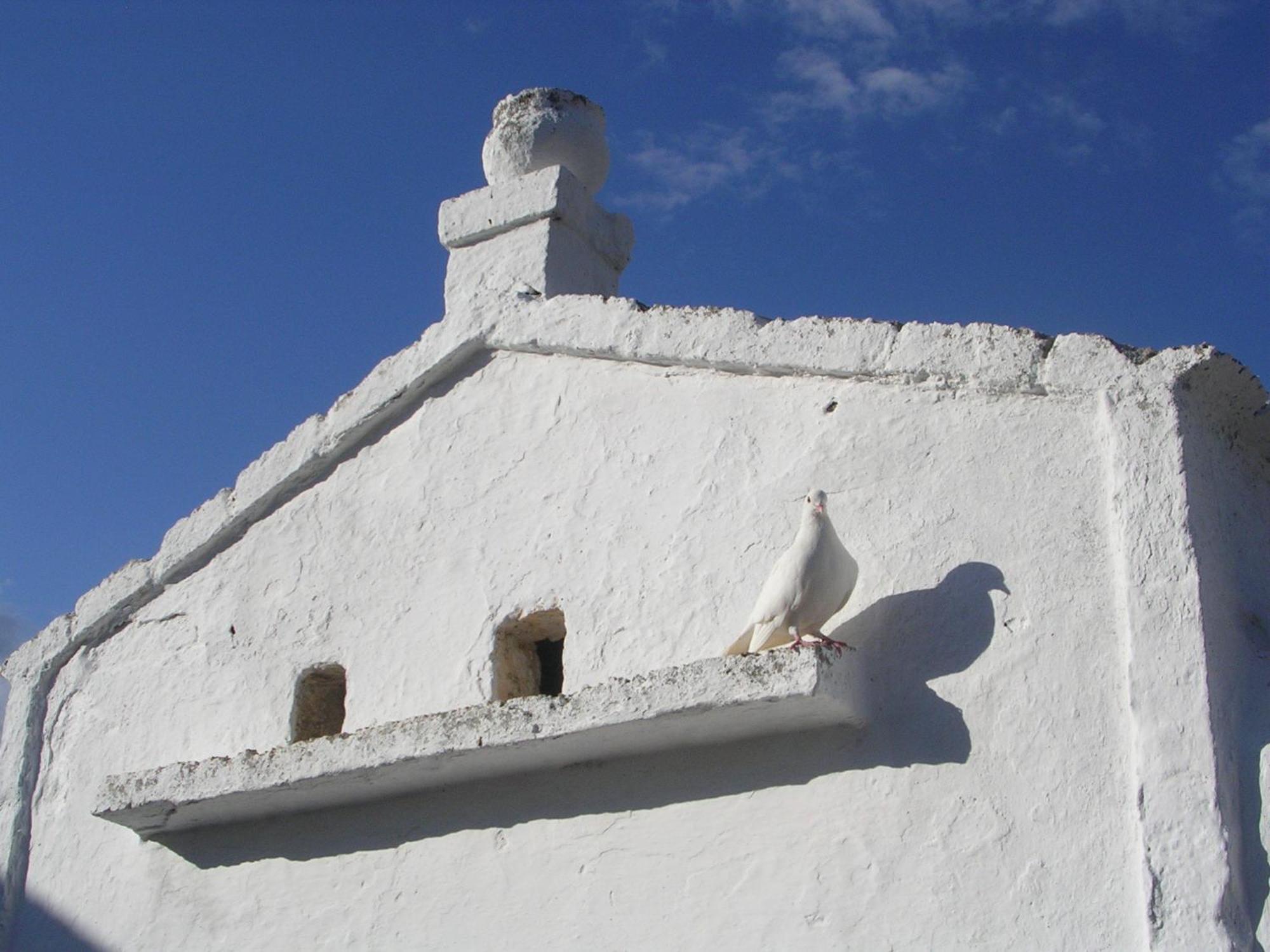 Masseria Purgatorio Fasano Dış mekan fotoğraf