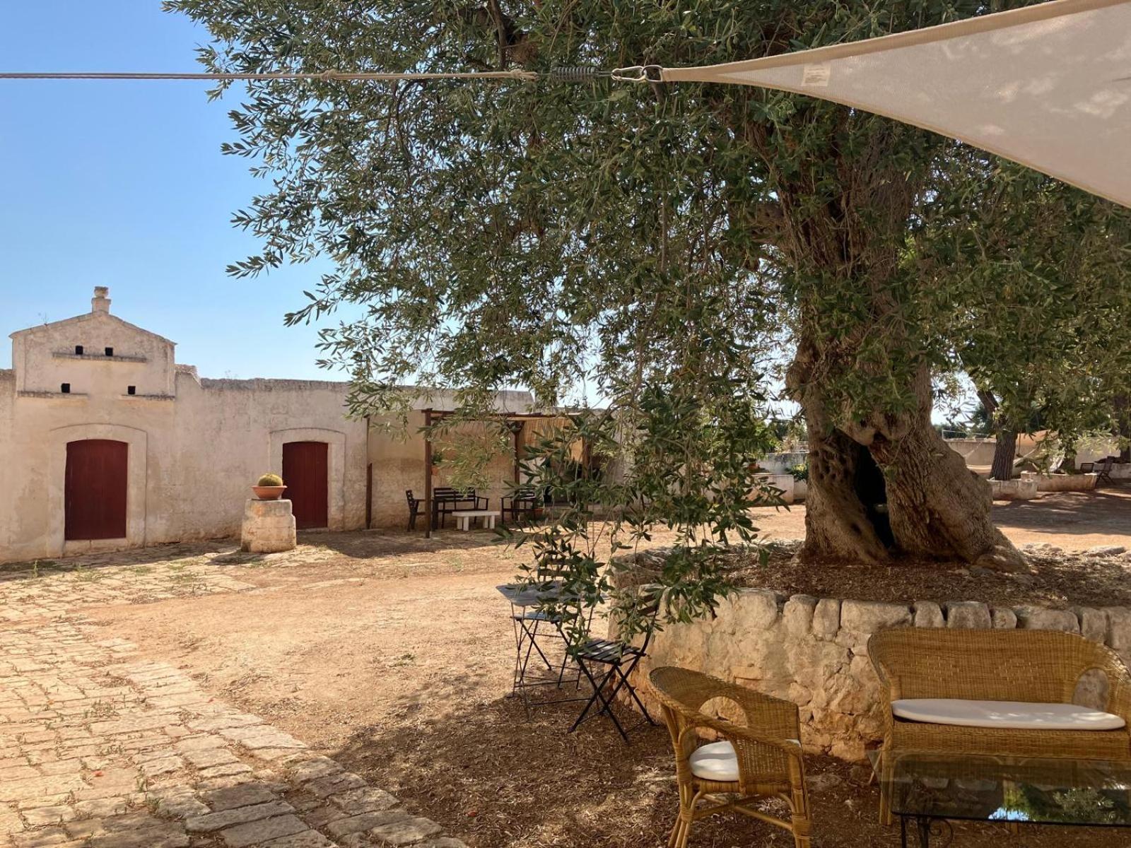 Masseria Purgatorio Fasano Dış mekan fotoğraf