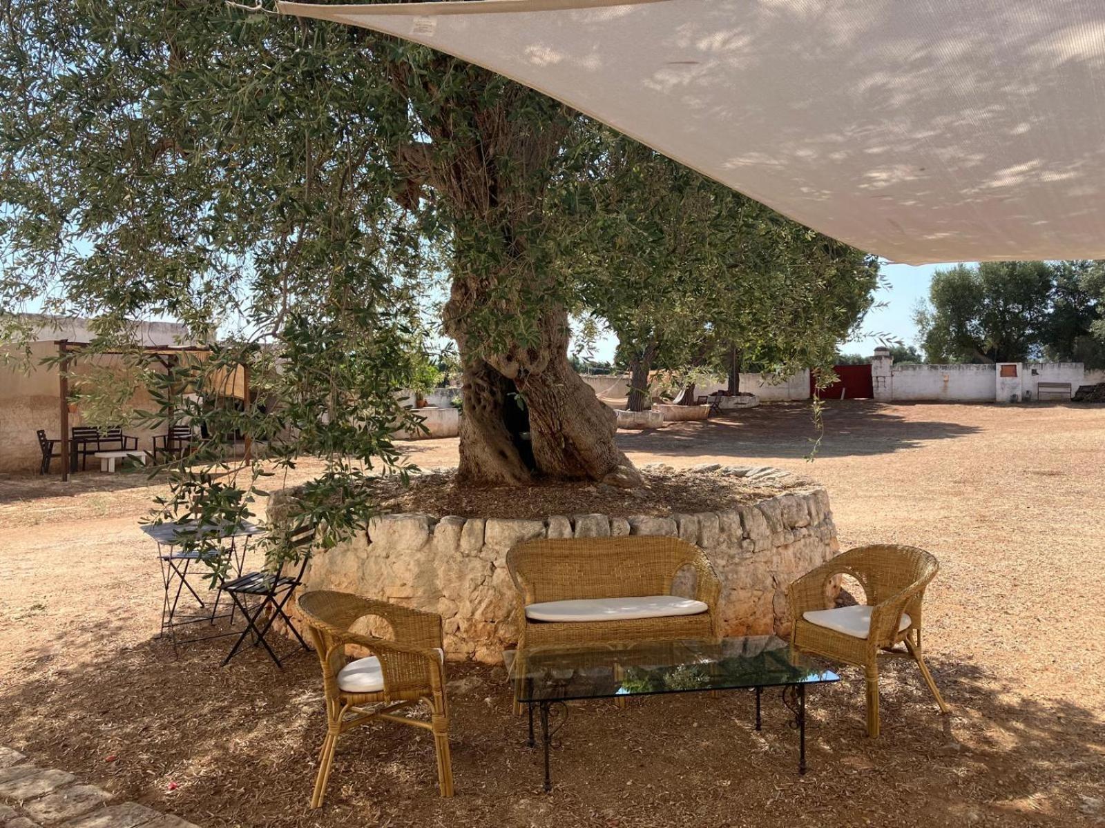 Masseria Purgatorio Fasano Dış mekan fotoğraf