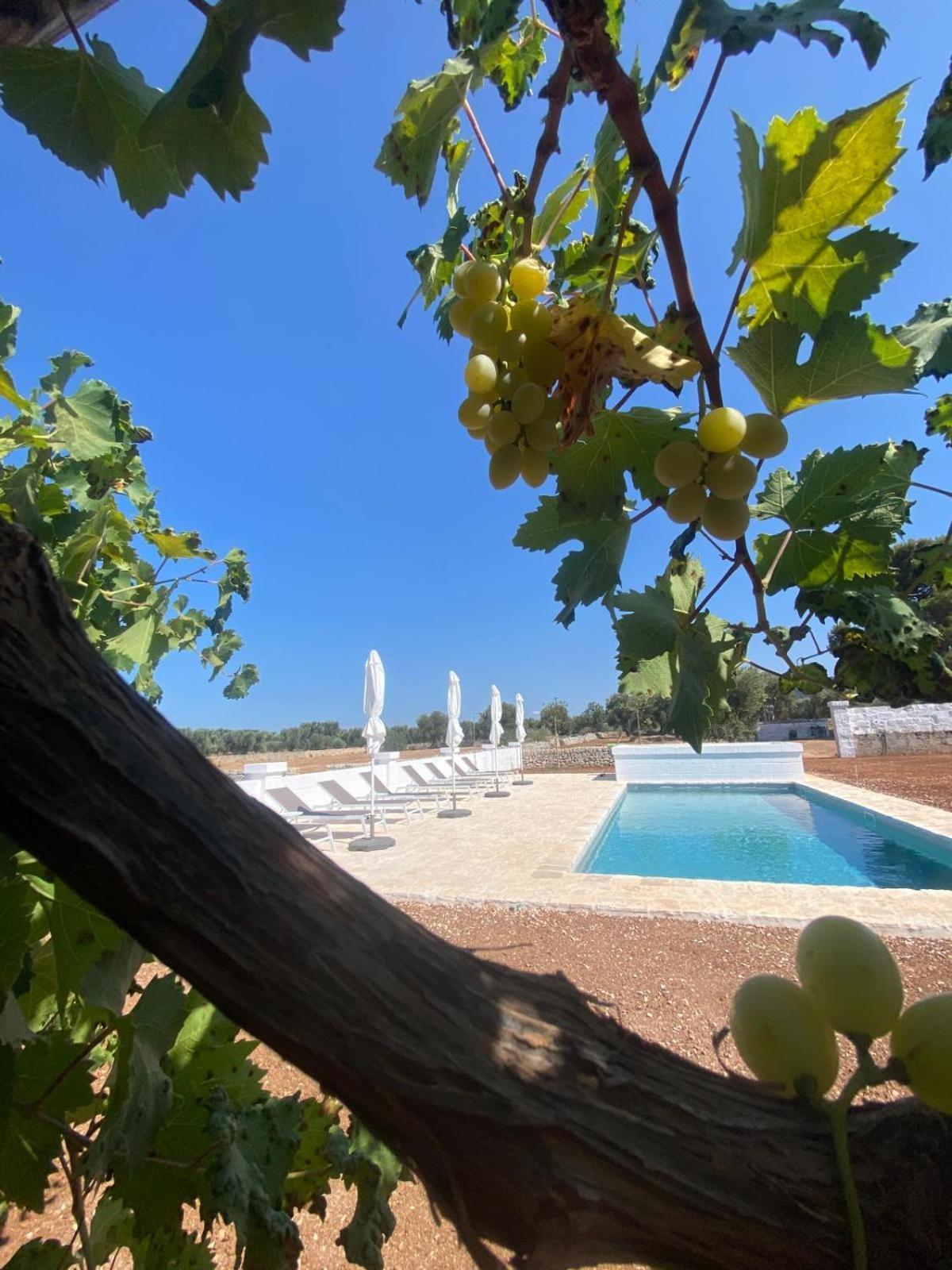 Masseria Purgatorio Fasano Dış mekan fotoğraf